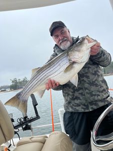 Striped bass caught while fishing in SC