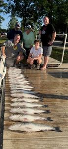 4 fish caught in South Carolina