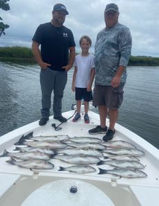 Three striped bass caught while fishing in SC.