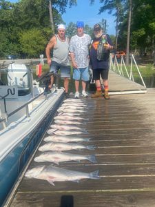 Three anglers with their catch in SC