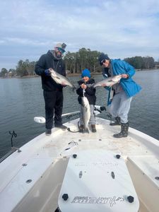 Two striped bass caught fishing in SC