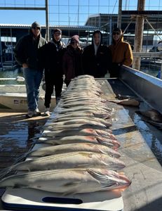 These boys banged out a limit of lake texoma striper in 45 minutes and said let’s get on the road 