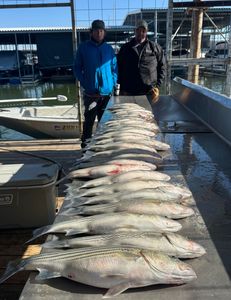Two anglers with a pair of big fish caught fishing in TX