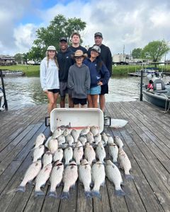 6 striped bass and white bass in a successful fishing trip in TX
