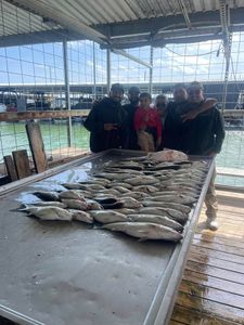 5 people fishing in Texas