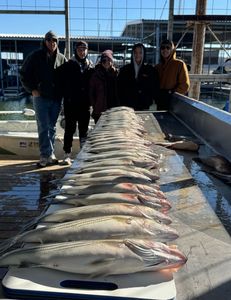Two large fish caught in Pottsboro during fishing trip