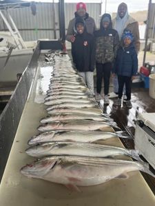 5 people fishing in Pottsboro