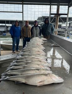 1 person fishing in TX