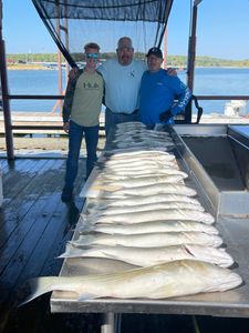 On the hunt for striped bass 