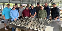 Limit of Lake Texoma Striped Bass