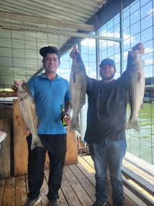Hooked on Lake Texoma! Striped bass fishing!