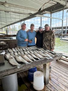 Lake Texoma stripers – catch the thrill