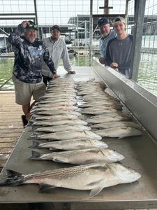 Hook of the day!