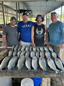 Striped bass season at Lake Texoma