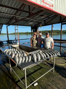 striped bass thrills on Lake Texoma