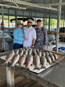 striped bass at legendary Lake Texoma!