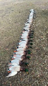 Scenic landscape photo of Pottsboro