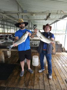 Lake Texoma – fish big, dream bigger.