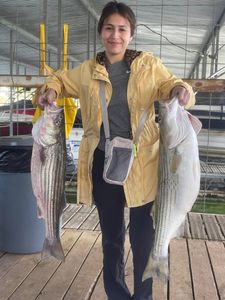 Two striped bass caught while fishing in TX
