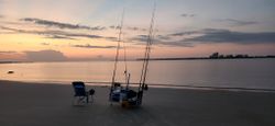 Basking In the Serene Waters in NSB, FL