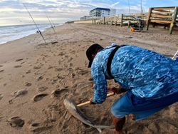 Premium Shark Fishing In NSB, FL