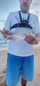 Pompano