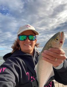 Bluefish Reels Of The Day In New Smyrna Beach