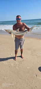 Caught a 23-inch Atlantic Sharpnose Shark while fishing at New Smyrna Beach
