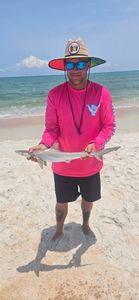 Blacktip Shark, a 20-inch fish caught at New Smyrna Beach