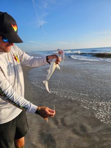 A person fishing in Florida