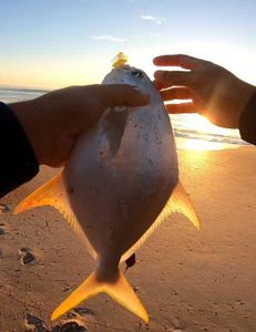 One fisherman fishing at New Smyrna Beach