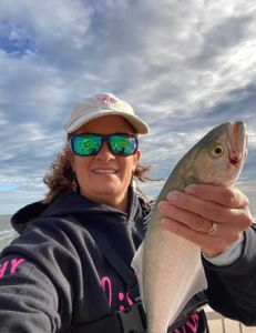 Fishing in Florida with a single fish
