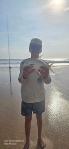 A single permit fish being caught while fishing in New Smyrna Beach