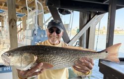 Redfish caught while fishing in Port Isabel