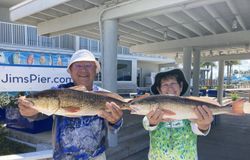 Two redfish caught while fishing in Port Isabel