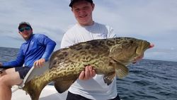 Gag Grouper Caught from Florida