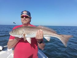 Nice redfish reeled in Florida