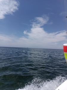 Clouds rolling in? Perfect time to switch up your jigging game in Weeki Wachee!