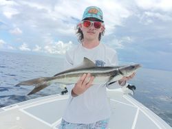 Cobia fish caught in FL