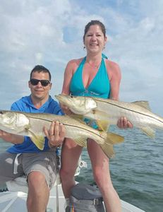 Two snook fish caught by two people while fishing in Weeki Wachee