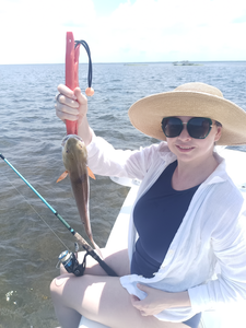 Blue Catfish hooked on a perfect day in Weeki Wachee!