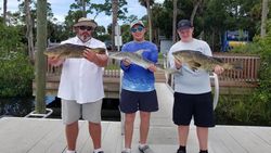 A group of 3 people with 2 Bonnethead Sharks in Weeki Wachee