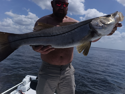Caught a big one today!