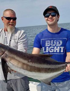 Cobia fish caught in FL while fishing