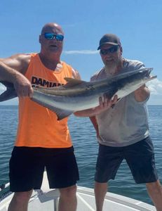 Impressive catch of a large cobia fish in Weeki Wachee