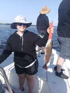 A day on the lake, reeling them in.