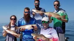 Five redfish caught while fishing in FL