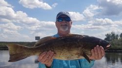 Fishing for a gag grouper, 31 inches long, in FL