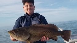 Gag Grouper fish caught while fishing in FL
