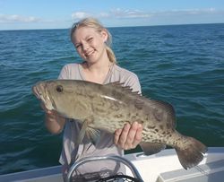 A large gag grouper fish caught in Weeki Wachee